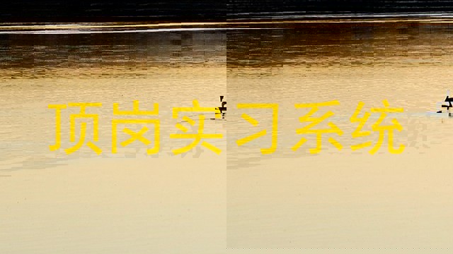 顶岗实习系统