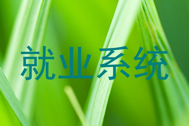 就业系统