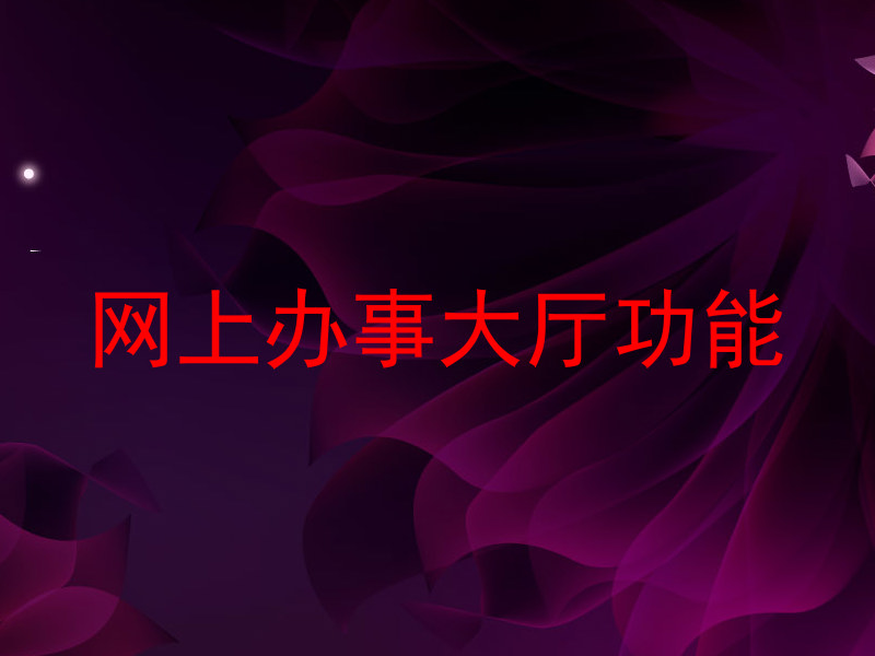 网上办事大厅功能