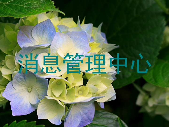 消息管理中心