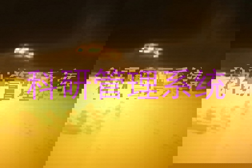 科研管理系统