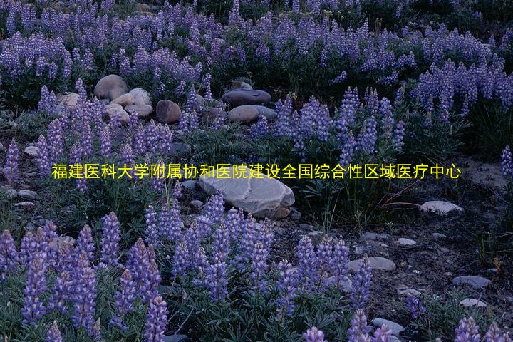 福建医科大学附属协和医院建设全国综合性区域医疗中心