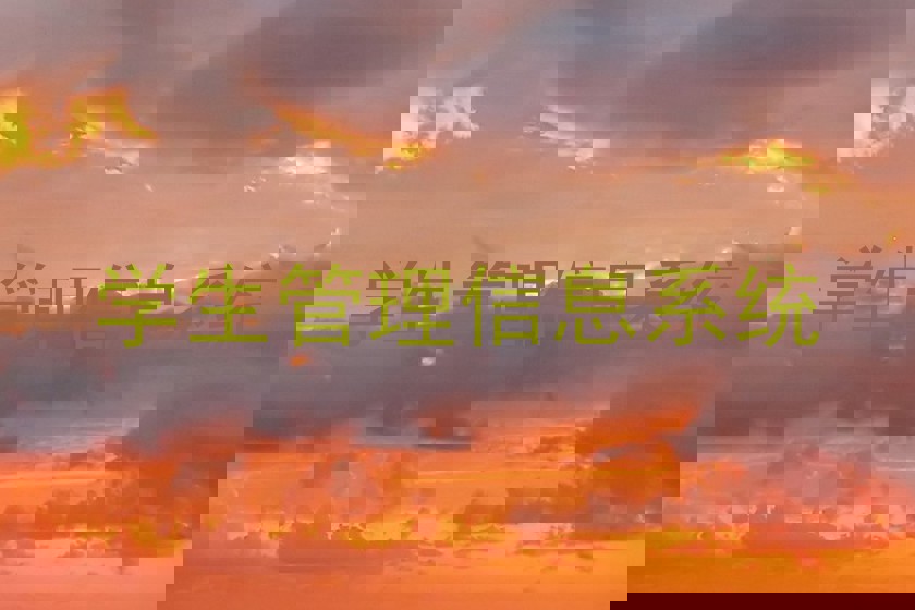 学生管理信息系统