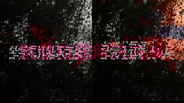 智慧校园解决方案