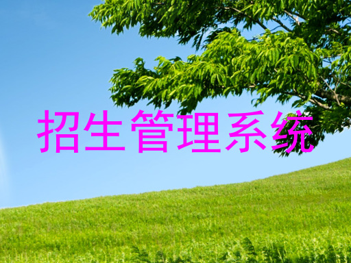 招生管理系统