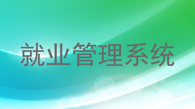 就业管理系统