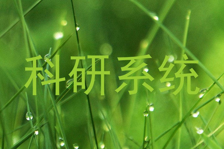 科研系统
