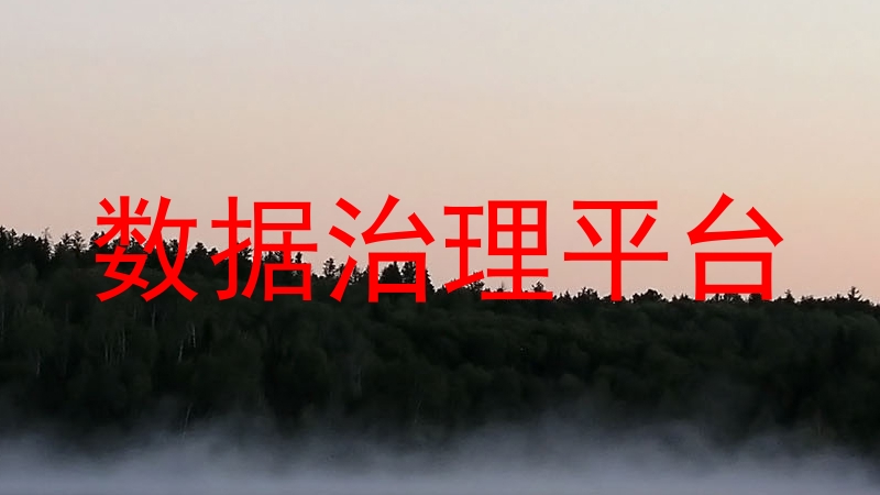 数据治理平台