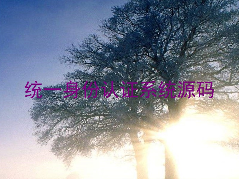 统一身份认证系统源码