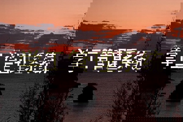 学工管理系统