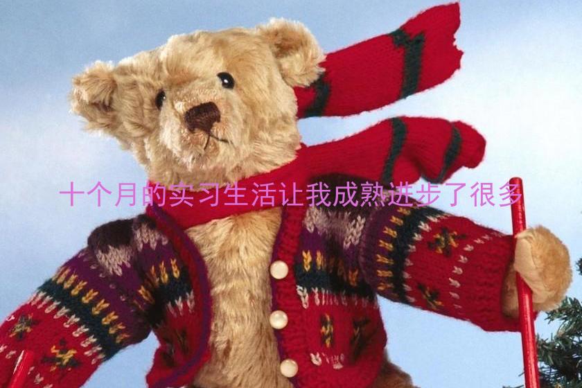 十个月的实习生活让我成熟进步了很多