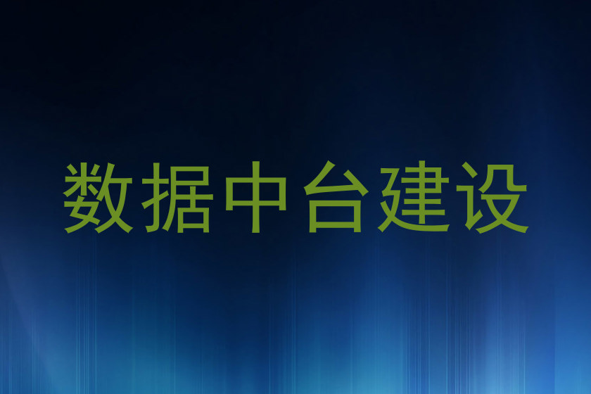 数据中台建设