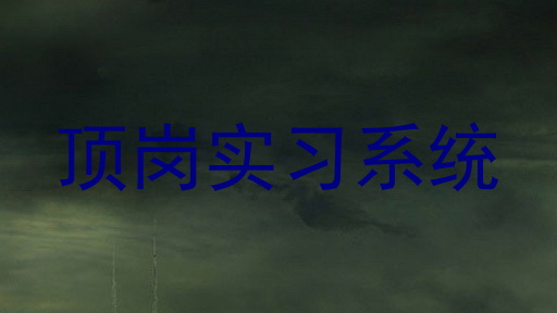顶岗实习系统