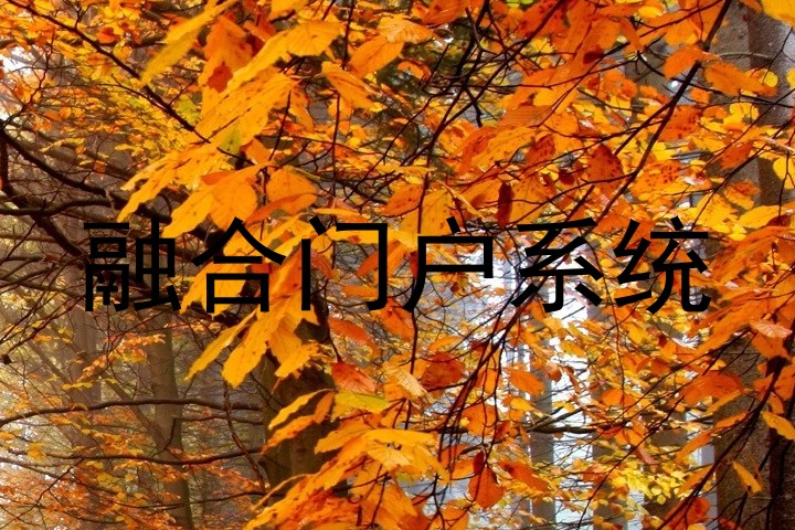 融合門戶系統(tǒng)