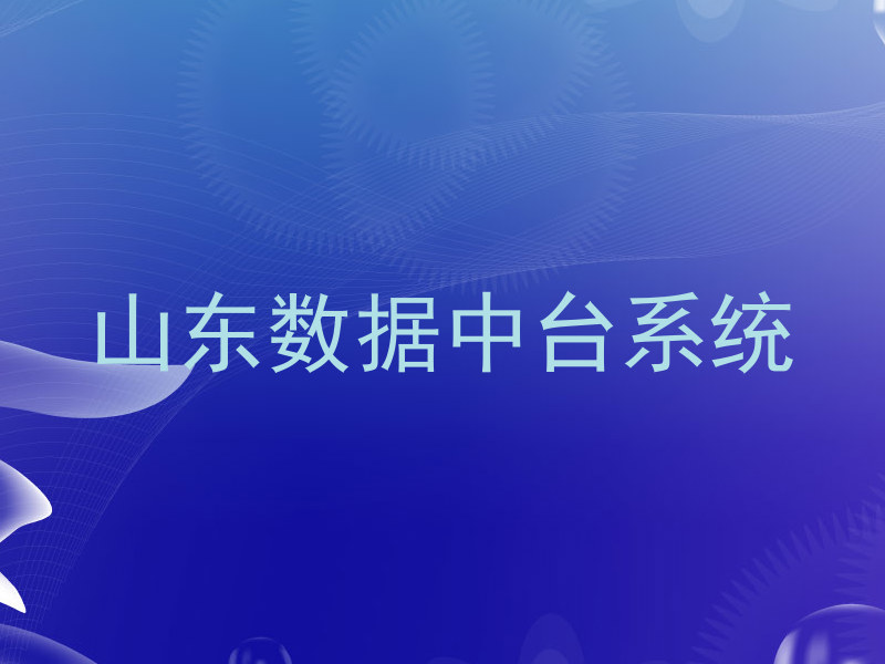 山东数据中台系统