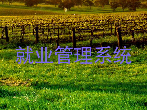 就业管理系统
