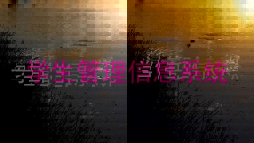 学生管理信息系统