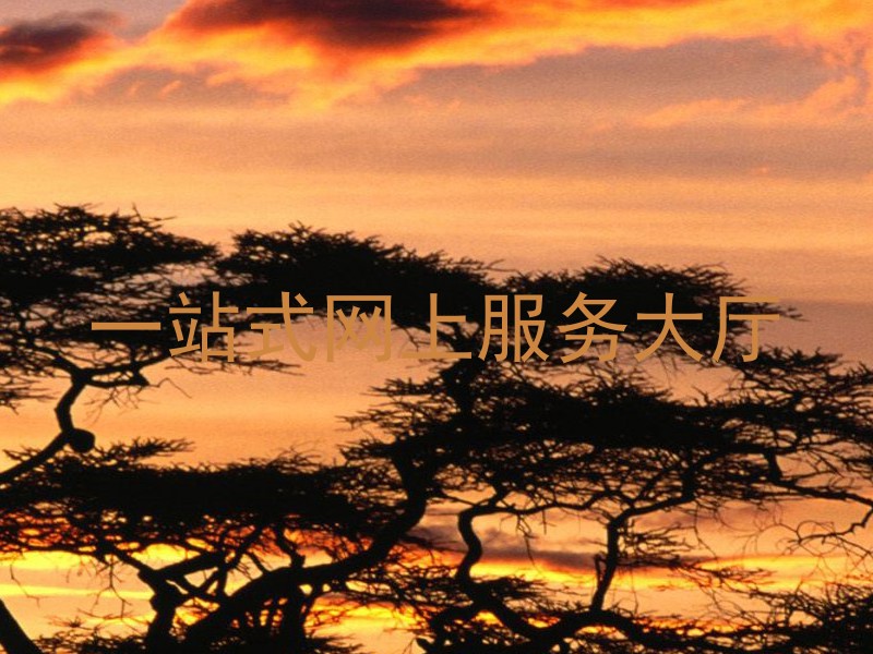 一站式网上服务大厅