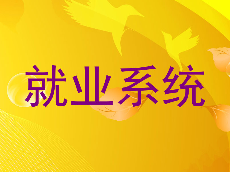 就业系统