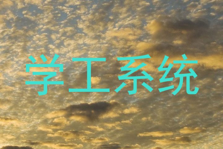 学工系统