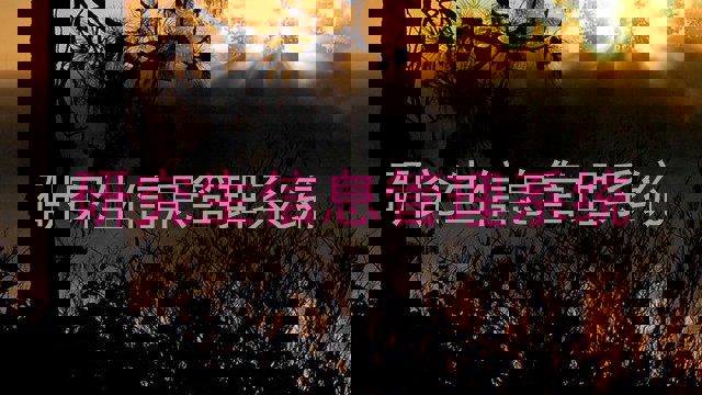 研究生信息管理系统