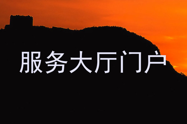 服务大厅门户