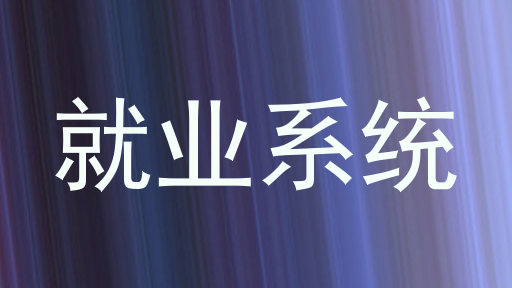 就业系统