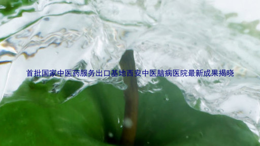 首批国家中医药服务出口基地西安中医脑病医院最新成果揭晓