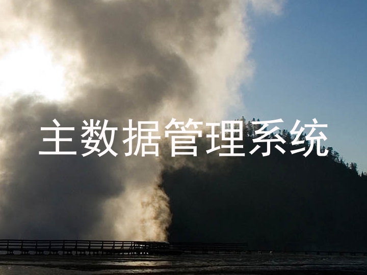 主数据管理系统