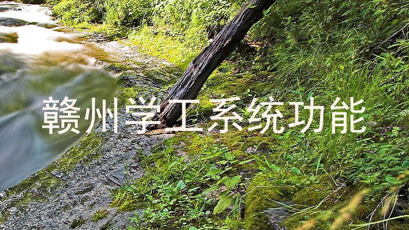 赣州学工系统功能