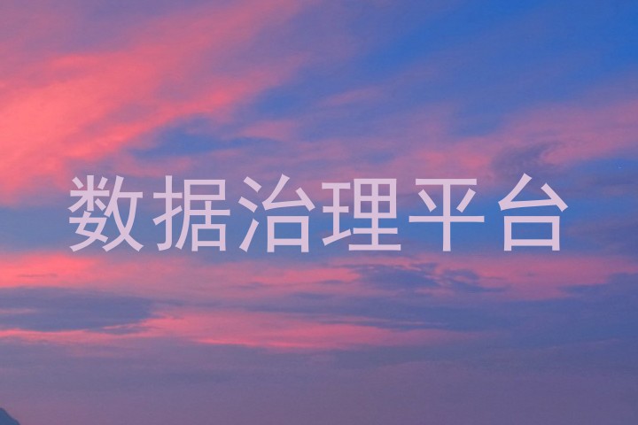 数据治理平台