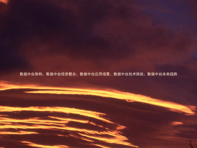 数据中台架构、数据中台信息整合、数据中台应用场景、数据中台技术挑战、数据中台未来趋势