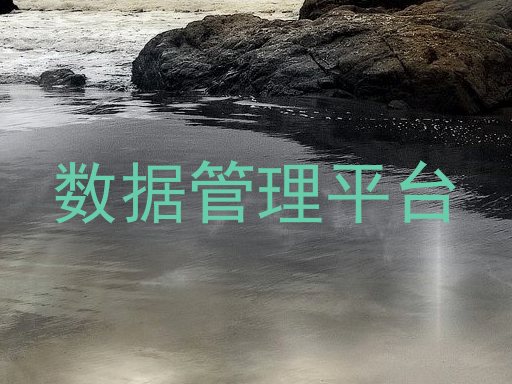 数据管理平台