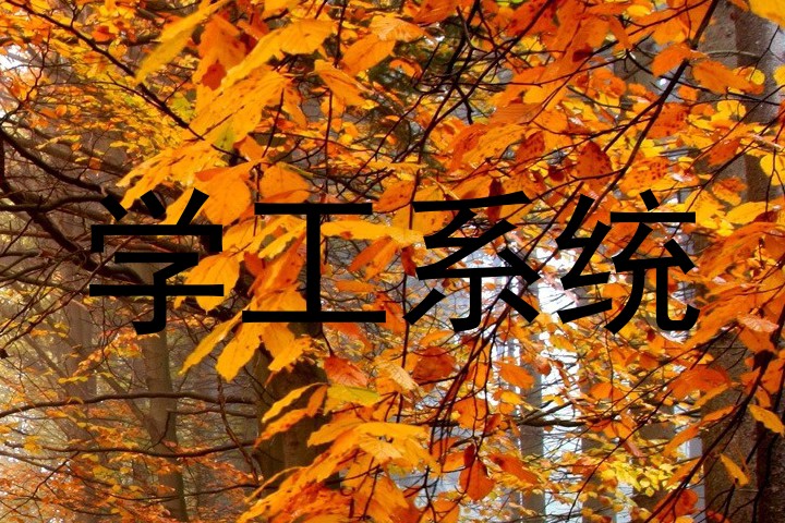学工系统