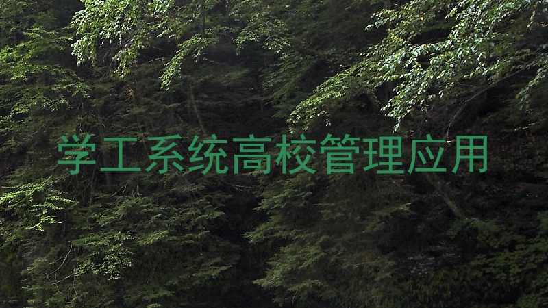 学工系统高校管理应用