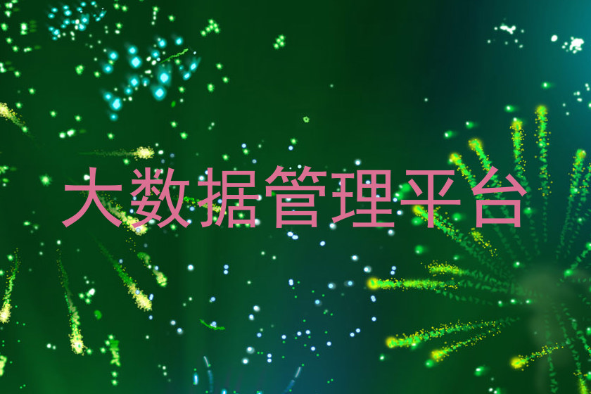 大数据管理平台