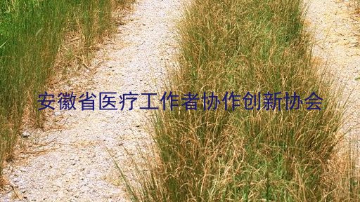 安徽省医疗工作者协作创新协会