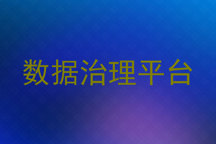 数据治理平台