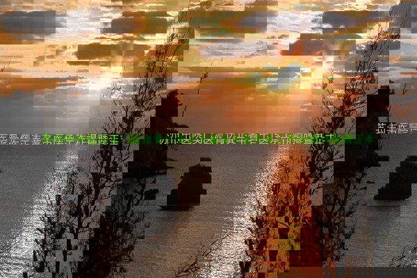 苏州市中医院吴门医派骨伤龚正丰著名中医传承工作站揭牌暨龚正丰