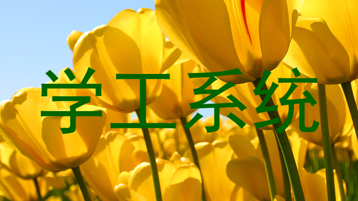 学工系统