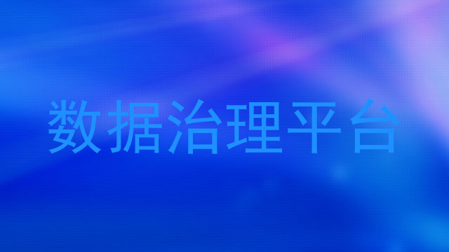 数据治理平台