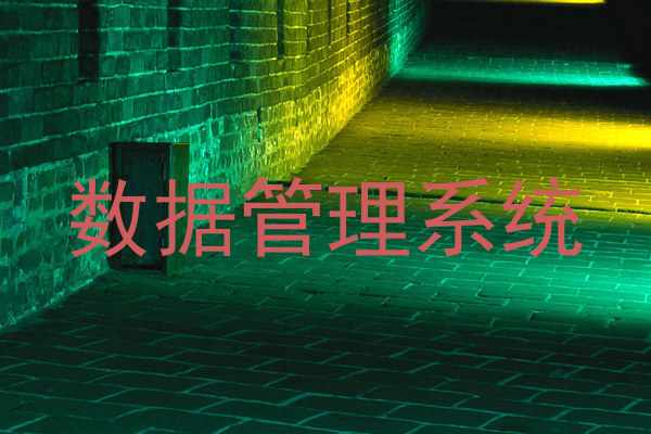 数据管理系统