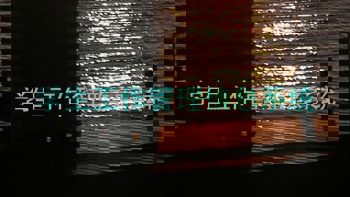 学生工作管理信息系统