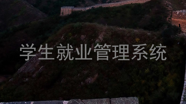 学生就业管理系统