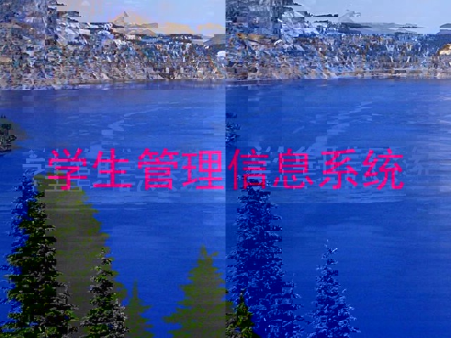 学生管理信息系统