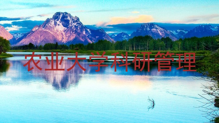 农业大学科研管理