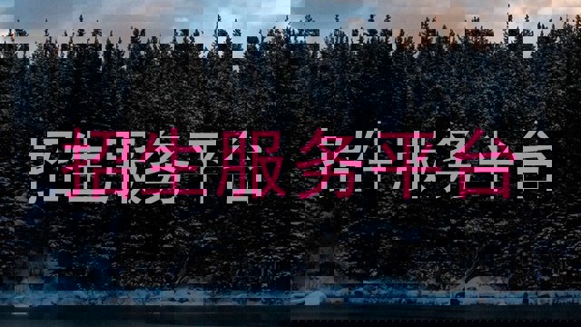 招生服务平台