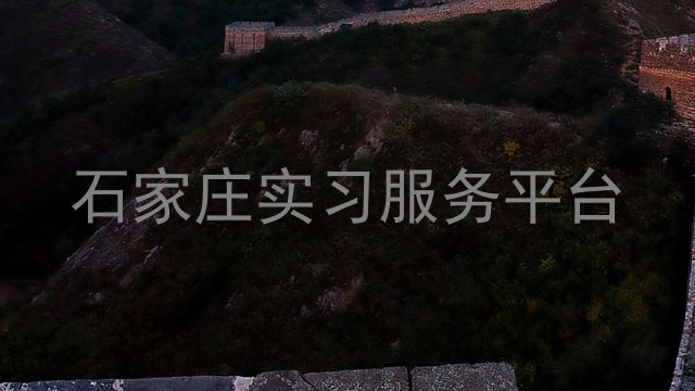石家庄实习服务平台