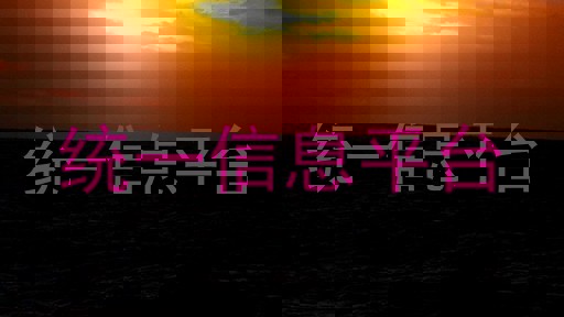 统一信息平台