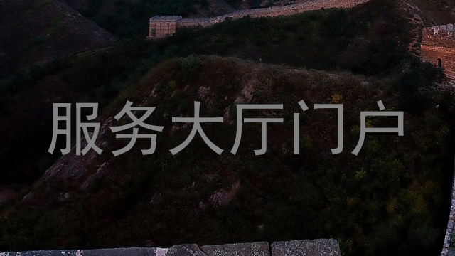 服務大廳門戶